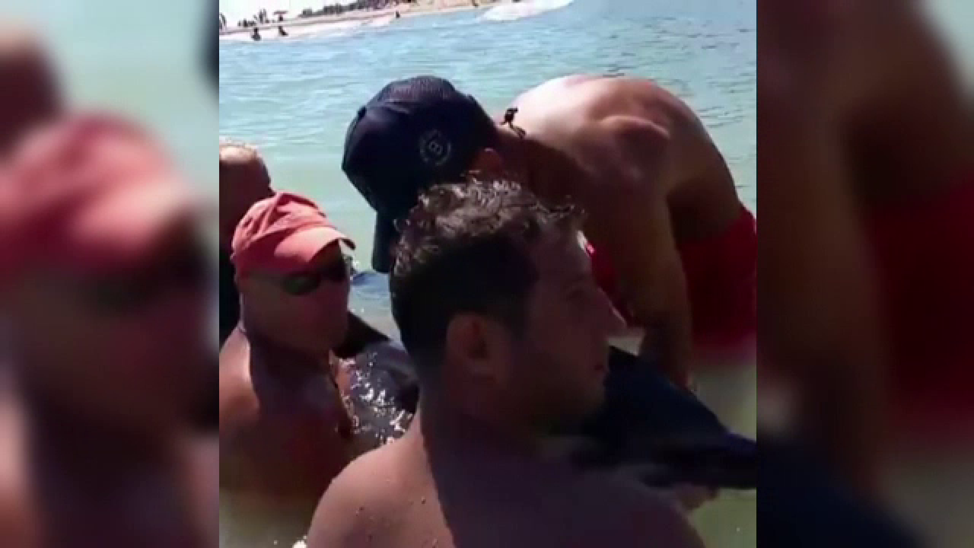 Scene dramatice la Eforie Sud, unde turistii au incercat sa salveze un delfin esuat. Cum s-a incheiat operatiunea