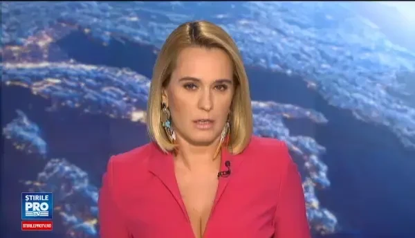 Ministrul de Interne si-a depus demisia. Petre Toba, vizat intr-o ancheta DNA pentru favorizarea infractorului