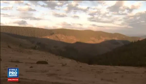 S-au marit amenzile in cazul defrisarilor ilegale. Cat vor plati cei care intra cu drujba in padurile virgine