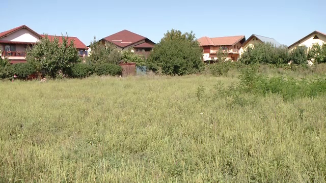 Amenzi de mii de lei pentru românii care nu distrug ambrozia. Se va aplica de sâmbătă