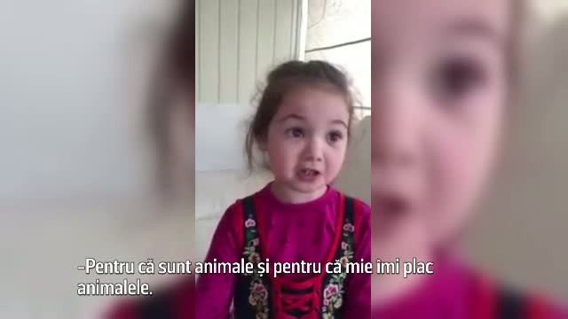 Explicatia unei fetite atunci cand mama o intreaba de ce nu vrea sa mai manance carne. Imaginile au cucerit internetul