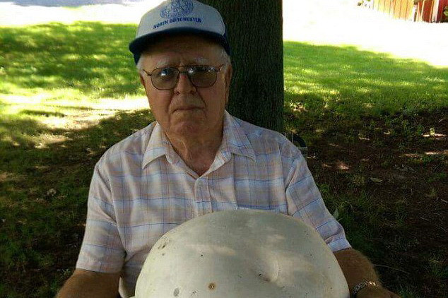 Se afla la plimbare in padure, cand a facut o descoperire fantastica. Ce s-a intamplat dupa ce imaginea a ajuns pe internet