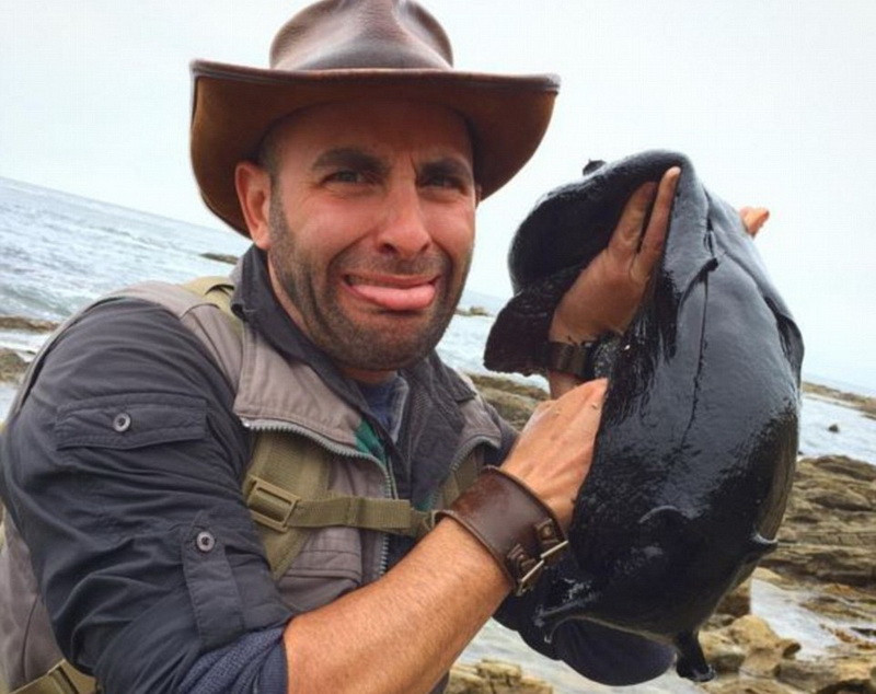 Creatura bizara pe care un prezentator a gasit-o in timpul unor filmari. Ce este de fapt. VIDEO