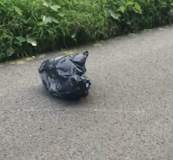 A gasit o punga care se misca, in mijlocul drumului si a desfacut-o. Descoperirea surprinzatoare pe care a facut-o inauntru