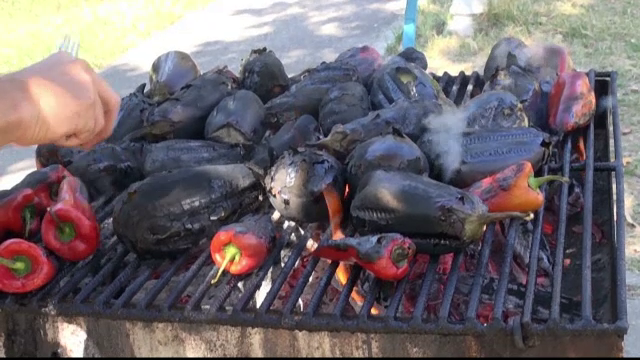 Galatenii au luat cu asalt plaja ca sa coaca vinete si ardei. "Incercam sa mai amenajam inca douazeci de gratare"