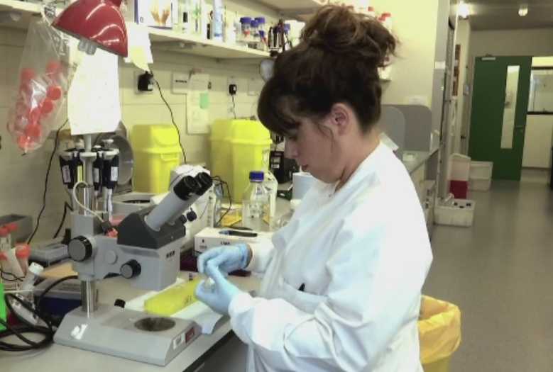 Factorii care au dus la cresterea numarului de copii bolnavi de cancer. Cele mai intalnite forme in ultimii ani