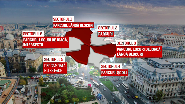 Primaria Capitalei a inceput in sfarsit deratizarea. Intr-un sector insa, sobolanii vor fi lasati sa umble in voie