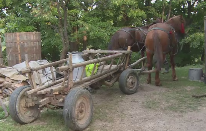 Clipe de groaza pentru doi copii din Prahova. Ce a urmat dupa ce caruta in care se aflau s-a rasturnat peste ei