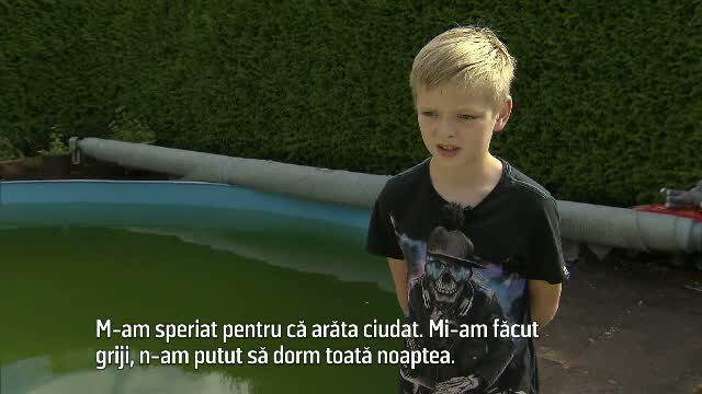 La numai 9 ani a devenit erou pentru fratele mai mic. Cum a reusit pustiul sa il readuca la viata pe micutul de 2 ani