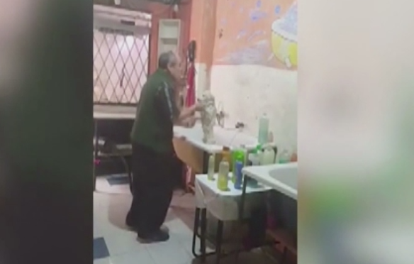 Patronul unui salon de cosmetica pentru caini, star pe internet. Cum l-a filmat sotia lui in timp ce ii facea baie unui catel