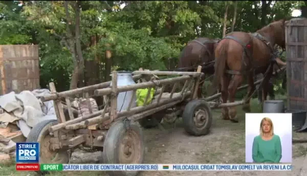 Clipe de groaza pentru doi copii din Prahova. Ce a urmat dupa ce caruta in care se aflau s-a rasturnat peste ei
