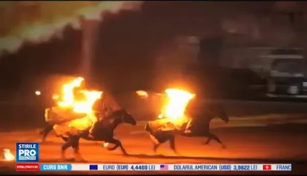 Steven Seagal, la Jocurile mondiale ale nomazilor din Karghastan. Competitiile la care au luat parte barbatii