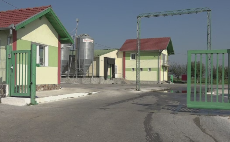 20.000 de gaini au murit asfixiate la o ferma, in Alba. Ce au facut angajatii cu ele incat s-a inceput imediat o ancheta