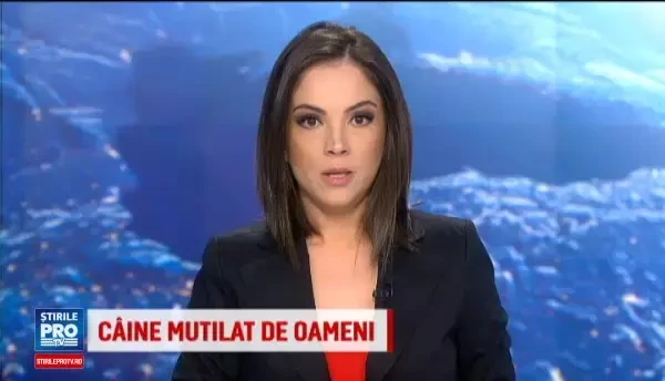 20.000 de gaini au murit asfixiate la o ferma, in Alba. Ce au facut angajatii cu ele incat s-a inceput imediat o ancheta