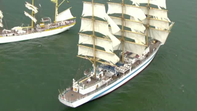 Velierele rusesti au ajuns in portul Constanta. Testoasa ratacita la Vadu ar putea fi trimisa acasa cu unul dintre ele