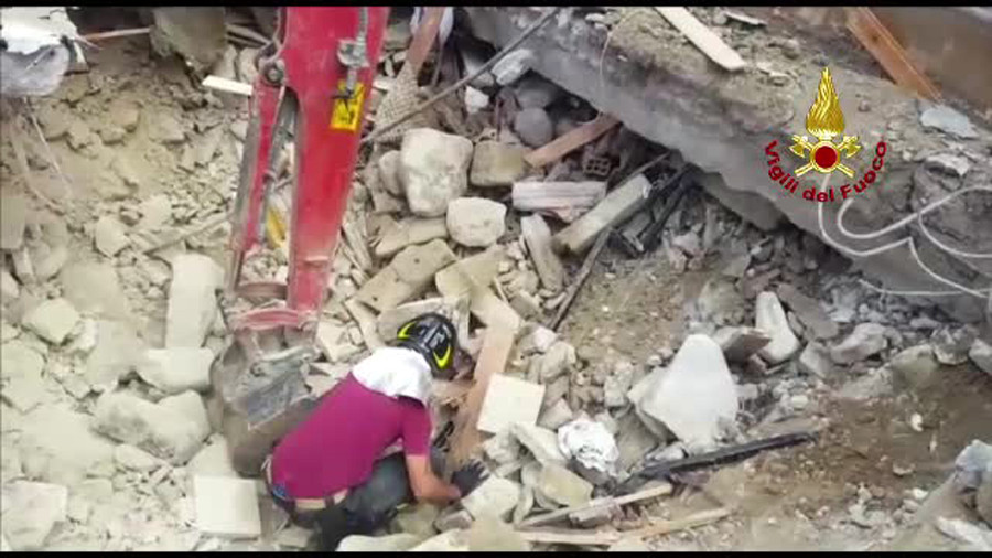 Pisica salvata de sub daramaturi la 16 zile de la cutremurul din Italia. Ce a facut imediat ce a fost luata in brate