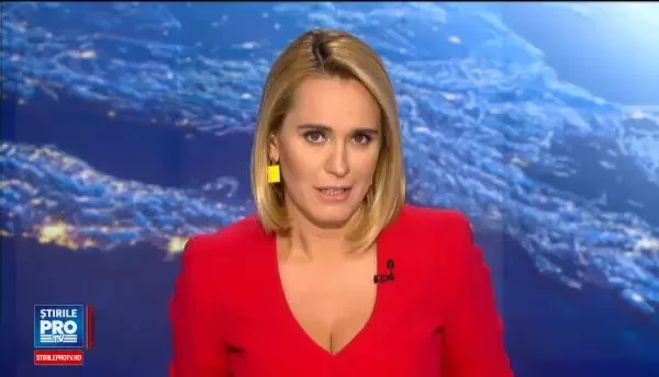 Velierele rusesti au ajuns in portul Constanta. Testoasa ratacita la Vadu ar putea fi trimisa acasa cu unul dintre ele