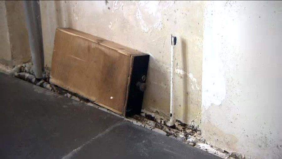 palat in ruina, Sulina