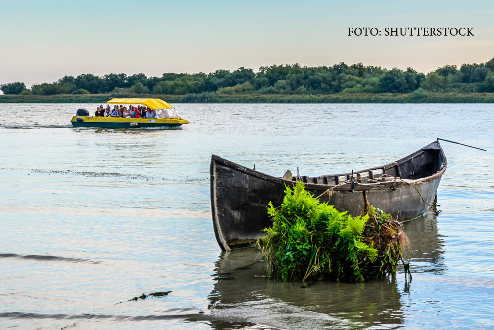 Delta, taramul de vis administrat cu reguli absurde si investitii dubioase. Guvernatorul se plange ca si el are salariul mic
