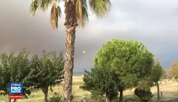 Incendiu in insula Thasos - imagini amator