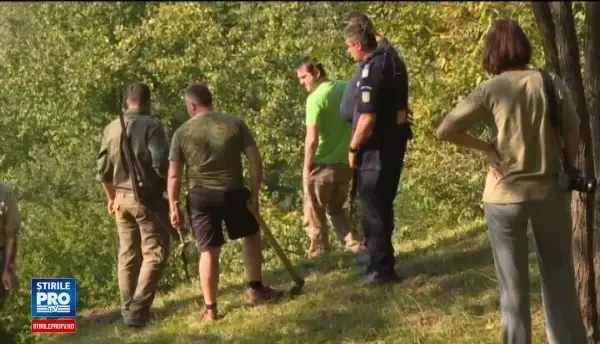 Urs de 200 de kilograme, salvat dupa ce a ramas blocat intr-un gard de sarma. Imagini din timpul operatiunii