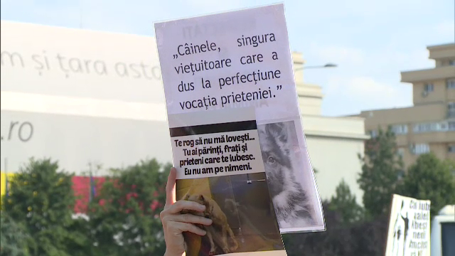 1000 de oameni au anuntat pe Faceook ca vin sa protesteze impotriva cruzimii fata de animale. Cati au mers in fata Guvernului
