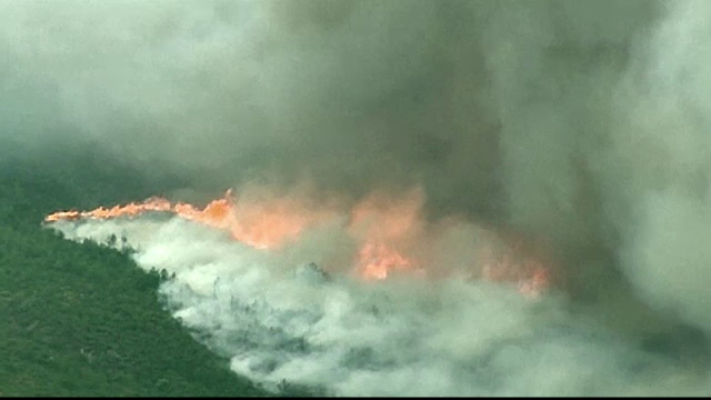 Incendii devastatoare de padure in insula Thassos. Marturiile romanilor prinsi in infern: "Se respira greu, ochii ne usturau"