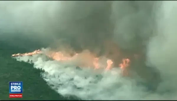 Incendii devastatoare de padure in insula Thassos. Marturiile romanilor prinsi in infern: Se respira greu, ochii ne usturau
