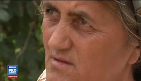 Nou-nascut gasit in haznaua din curtea unei case. Cum s-a aparat mama bebelusului, care a incercat sa-si ascunda sarcina