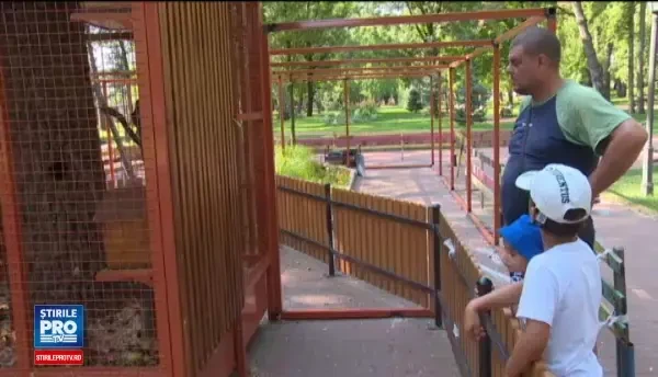 Primarul din Bistrita nu poate suporta o despartire de veveritele sale. Ce planuri are, dupa ce a fost somat sa le elibereze