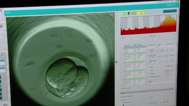 inseminare artificiala