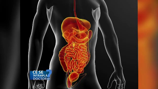 Ce se intampla atunci cand, dupa o cura de antibiotice, scade drastic numarul de bacterii din intestin. Rolul probioticelor