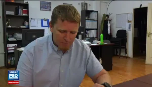 Alerta la Targu Mures, din cauza viespilor gigant. Pot ucide din 3-4 intepaturi, iar autoritatile nu au cum sa le distruga