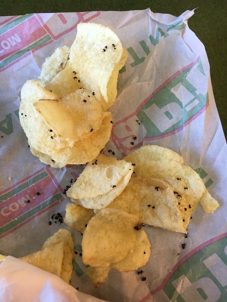 A mancat jumatate de punga cu chipsuri, pana si-a dat seama ce detaliu dezgustator continea. FOTO