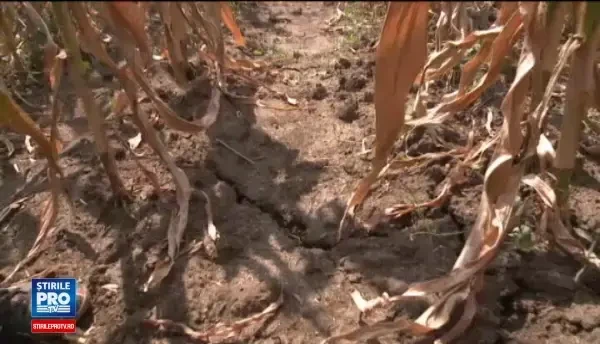 Fenomene meteo extreme si tot mai ciudate in Romania. Avertismentele specialistilor pentru urmatoarele trei luni