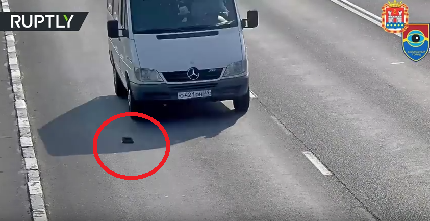 "Ne-am recuperat increderea in umanitate!" O pisicuta, salvata in ultima clipa din mijlocul unei autostrazi aglomerate