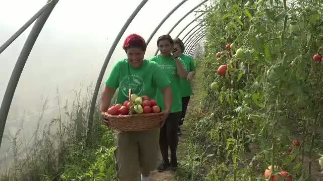 Sansa primita de tinerii fara adapost cu ajutorul unor voluntari francezi. Cum functioneaza terapia prin horticultura