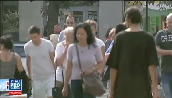 Pericolele care se ascund in pliculetele cu ceaiuri de pe piata. Menta, aromata cu substante chimice ca sa fie mai naturala