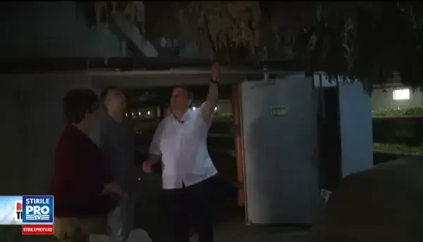 Loteria produselor naturiste: vanzatorii spun ca trateaza bolile, medicii - ca le provoaca. Care e cel mai falsificat ceai