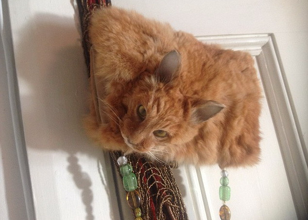 Accesoriul care a revoltat internautii. Pretul de pornire al unei genti realizate din blana si capul unei pisici