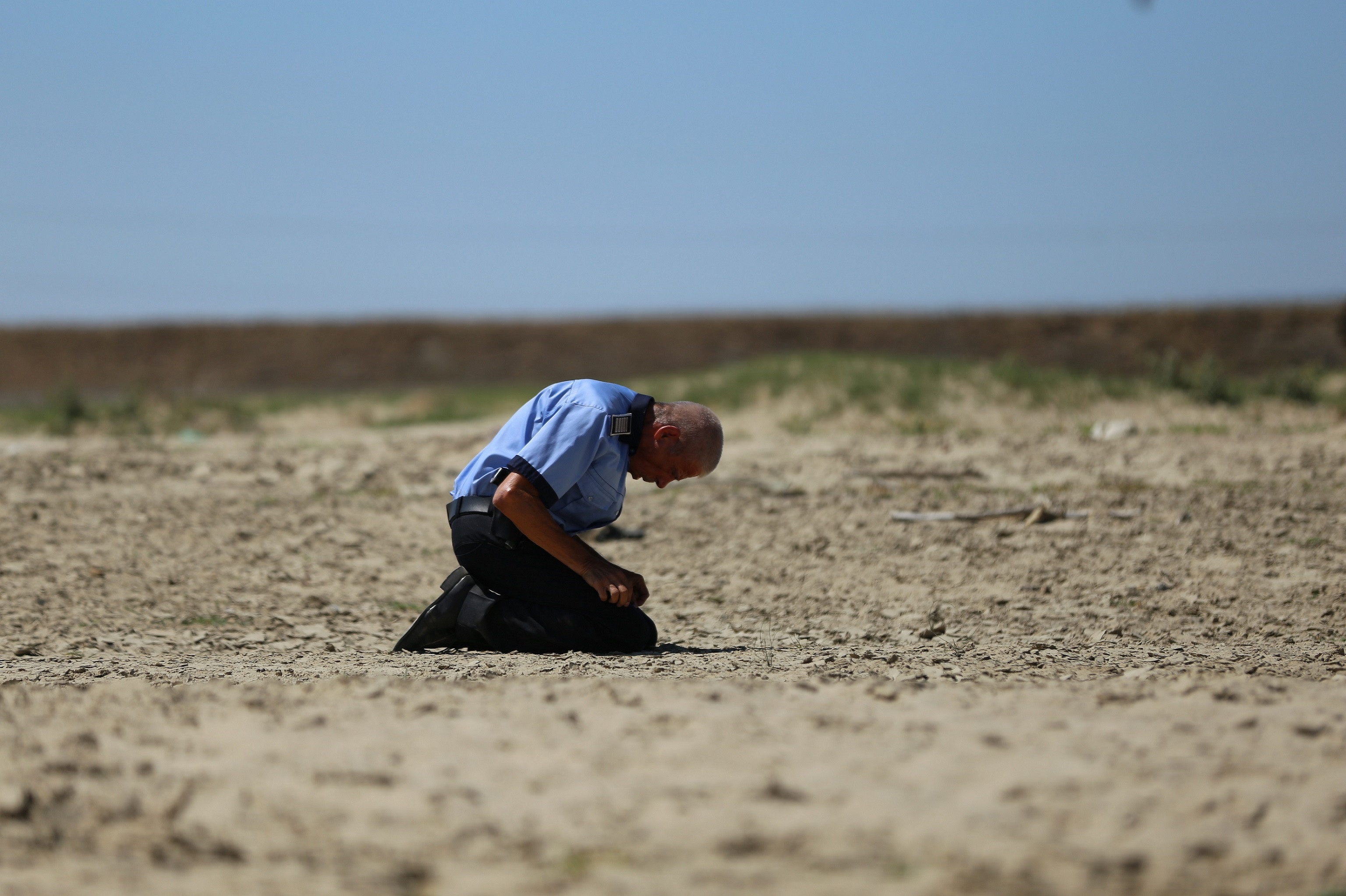 „Caini”, marele castigator la TIFF 2016, proiectie de gala la Cluj, in prezenta actorului Gheorghe Visu