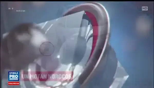 (P) Fabrica de lactate Mugura – Cris-Tim, vizitata de ministrul Agriculturii din Arabia Saudita