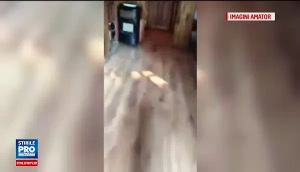 Doi copii au fost filmati in timp ce jucau la pacanele intr-un bar din Vaslui. Cat au castigat la final