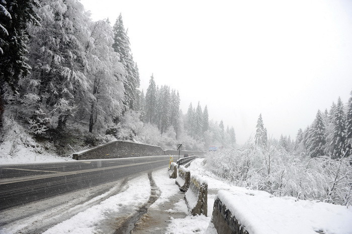 Stratul de zapada cazut in zonele montane din Maramures a depasit 20 cm si continua sa ninga