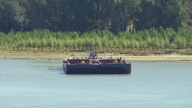 Situatie de criza pe Dunare. Armatorii romani risca sa ramana cu navele blocate in nisip