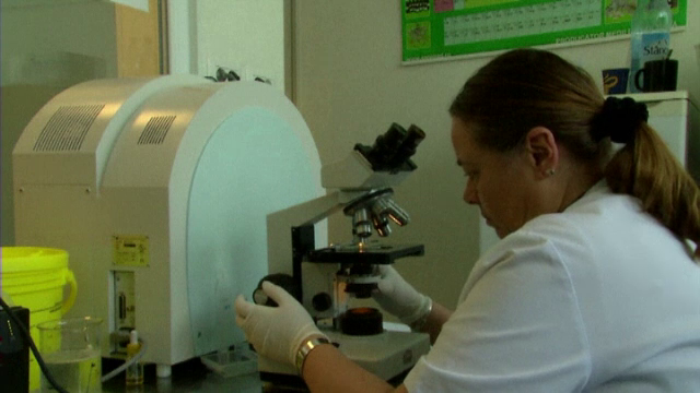 Rezistenta infectiilor la antibiotice, pe cale sa genereze o criza economica asemanatoare celei din 2008