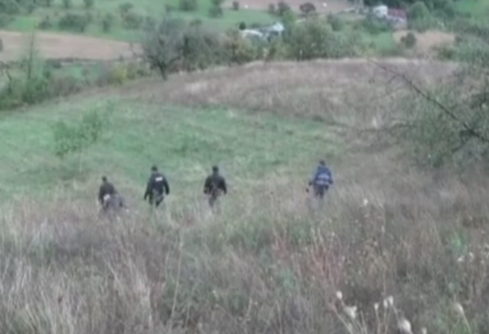 Sute de plante de canabis, descoperite de politistii antidrog din Cluj. Cine le cultiva