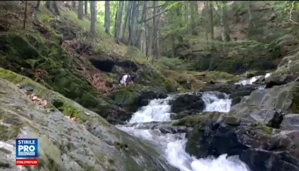 Imagini apocaliptice filmate intr-o zona care atragea mii de turisti. Era un colt de Rai, acum e o groapa de gunoi