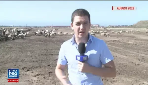 Statul si-a adus aminte de bucata de sosea care a stat abandonata 4 ani. Cand vom circula pe prima autostrada urbana din tara