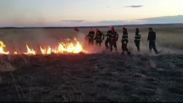 Incendiu devastator in rezervatia biosferei Delta Dunarii. In zona traiesc numeroase specii protejate de lege